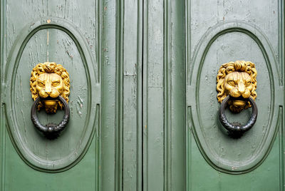 Elegant door with lion-shaped door knocker