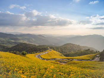 Scenic view of landscape against sky