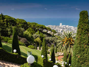 Trees and plants in city against sky
