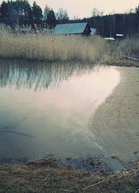 Reflection of trees in water