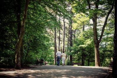 Rear view of couple holding hands and walking on road amidst trees