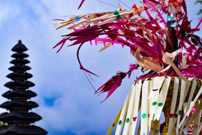 Low angle view of flowers against sky