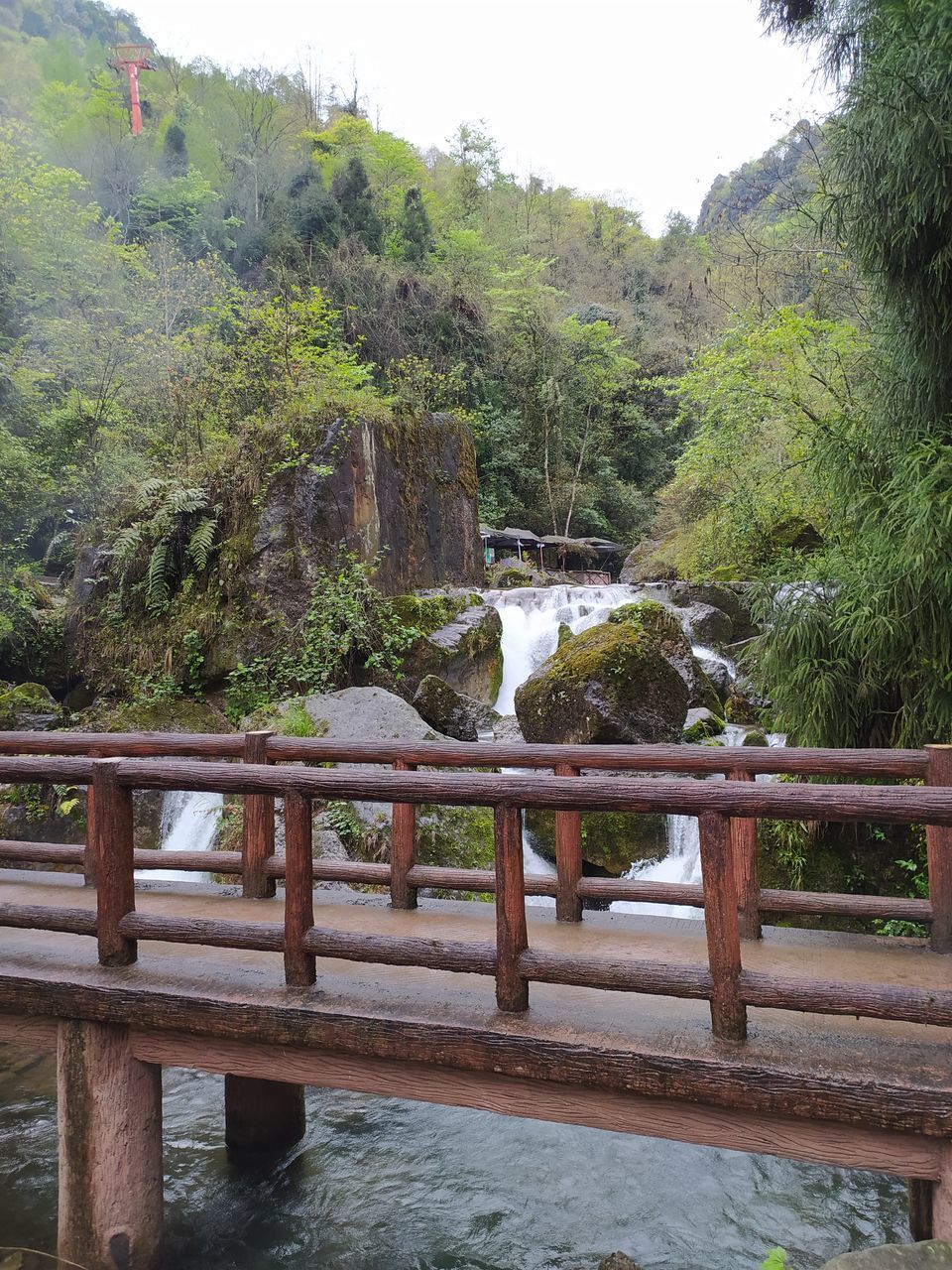 BRIDGE OVER RIVER AMIDST TREES IN FOREST