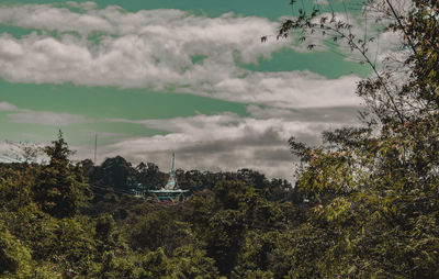 Trees against cloudy sky