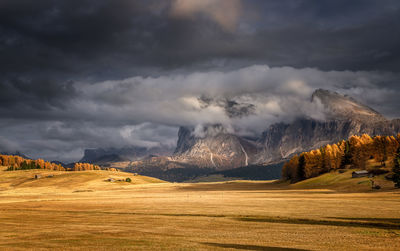 Scenic view of landscape against sky