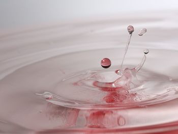 Close-up of falling water drop