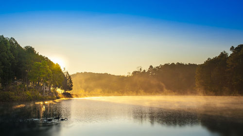 Scenic view of lake in forest against sky