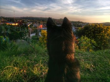 Man against sky