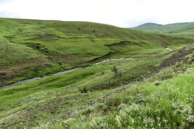 Scenic view of landscape against sky