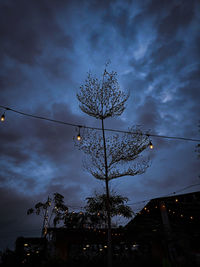 Low angle view of tree against sky at night