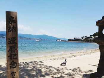 View of seagulls on beach