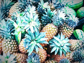 High angle view of fruits growing in market