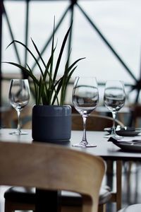 Close-up of potted plant on table