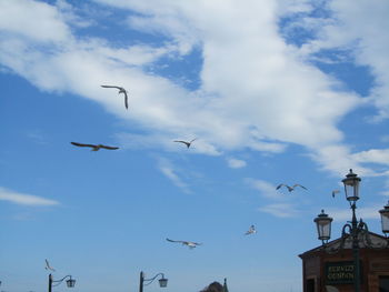 Low angle view of seagulls flying against sky