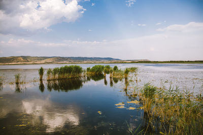 Scenic view of lake against sky