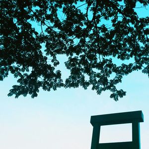 Low angle view of trees