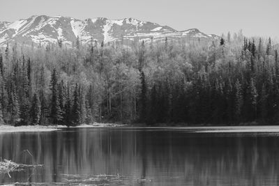 Scenic view of lake by snowcapped mountains