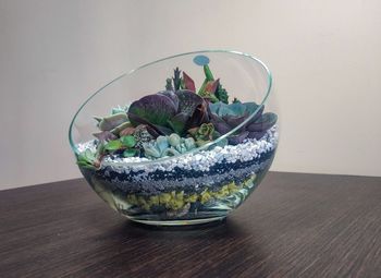 Close-up of potted plant in glass bowl on table
