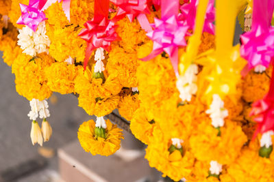 High angle view of yellow flowering plant