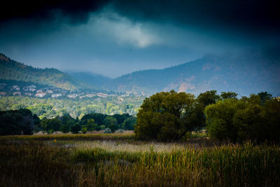 Scenic view of field against cloudy sky