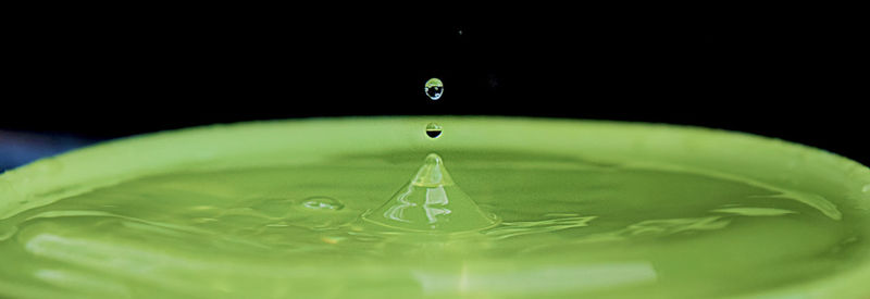 Close-up of water drops on leaf