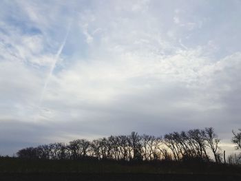 Low angle view of trees against sky