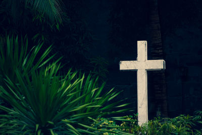 Close-up of cross on tree