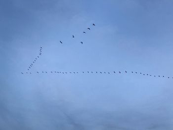 Low angle view of birds flying in sky