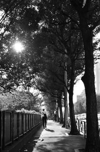 People walking on pathway along trees