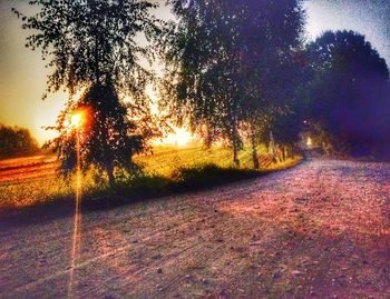 Road amidst trees against sky during sunset