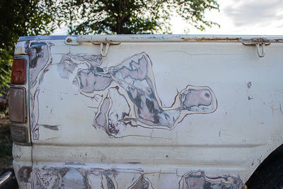 Close-up of graffiti on wall