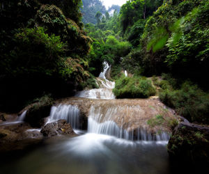 Scenic view of waterfall in forest