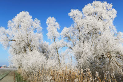 Close-up low angle view of blue sky