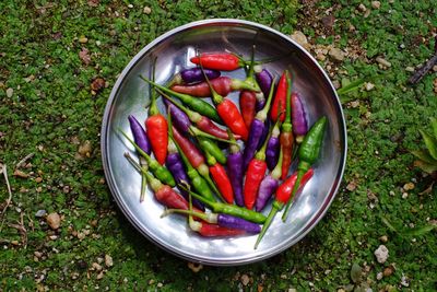 High angle view of vegetables in container on field