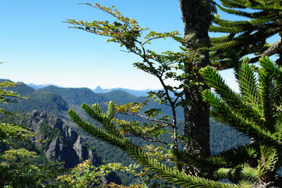 Scenic view of tree mountains against sky