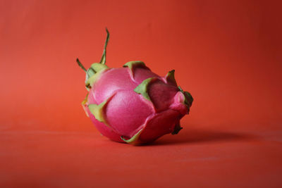 Close-up of strawberry over red background