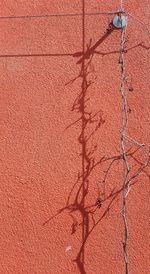 Close-up of shadow on red surface