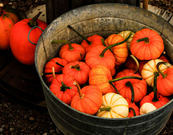 High angle view of pumpkins in container