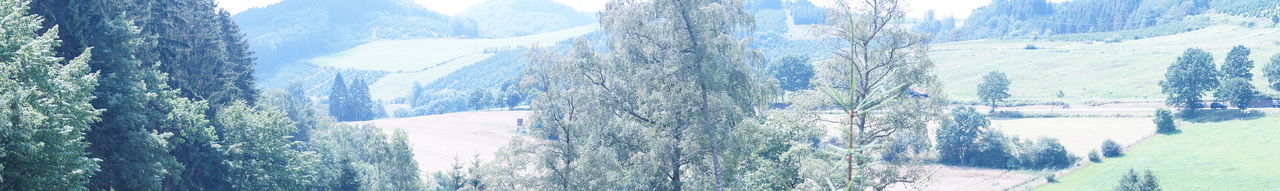 Panoramic view of snow covered landscape