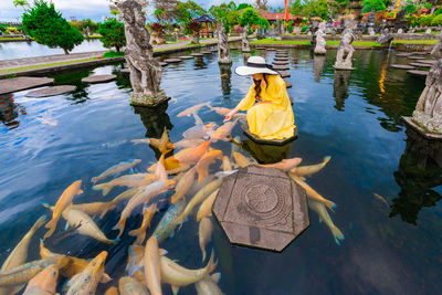 High angle view of woman feeding fishes in pond