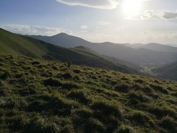 Scenic view of landscape against sky