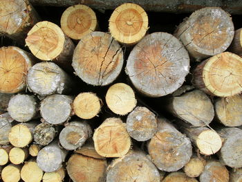 Full frame shot of firewood