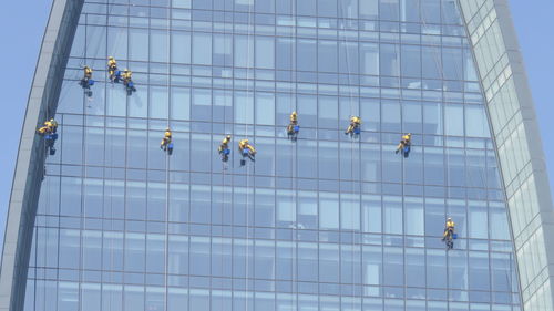 Low angle view of window cleaners hanging from rope on modern office building