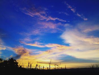 Scenic view of landscape against cloudy sky