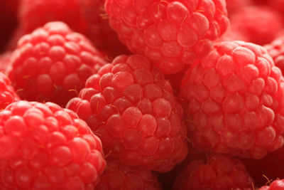 Close-up of raspberry