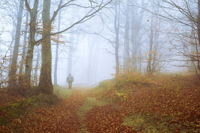 Man standing in forest during autumn