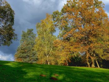 Scenic view of grassy field against cloudy sky