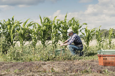 Mature gardener kneeling and working at farm against sky