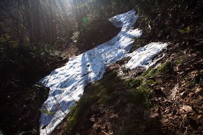 Scenic view of waterfall