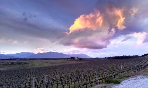 Scenic view of field against cloudy sky